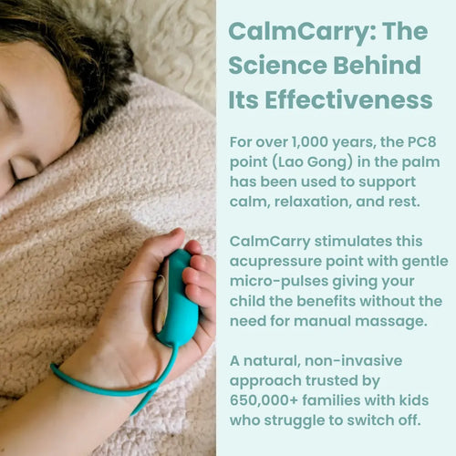 CalmCarry® Kids Mini Bear